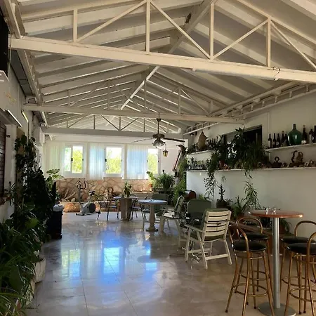 With Swimming Pool Apartman Jelsa (Hvar)