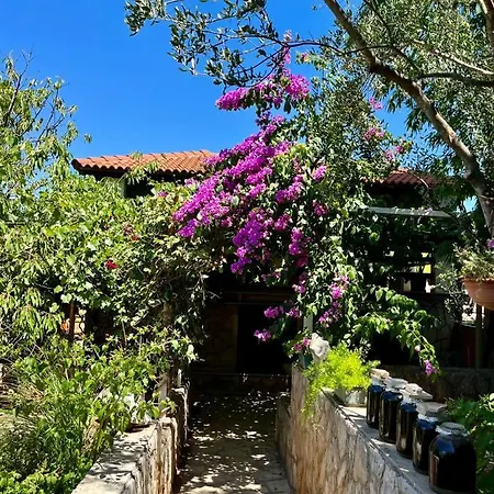 With Swimming Pool * Jelsa (Hvar)