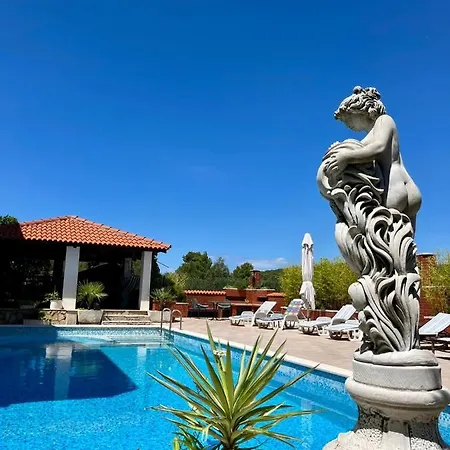 With Swimming Pool