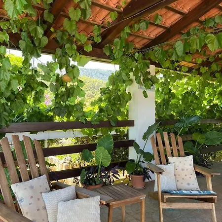 Apartman With Swimming Pool *