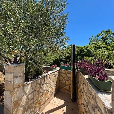 With Swimming Pool Apartman