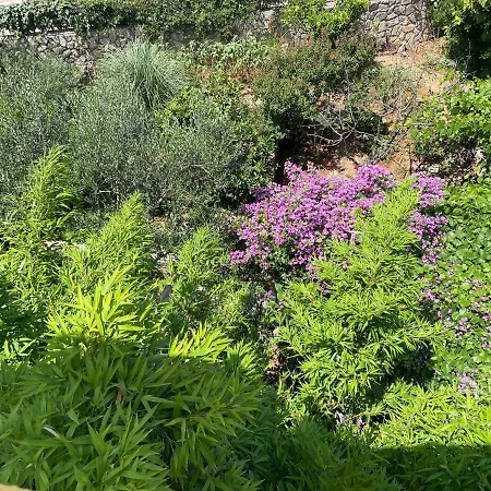 Apartment With Swimming Pool *