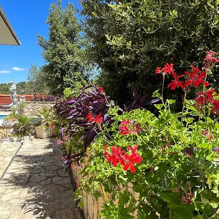 Apartment With Swimming Pool Jelsa (Hvar)