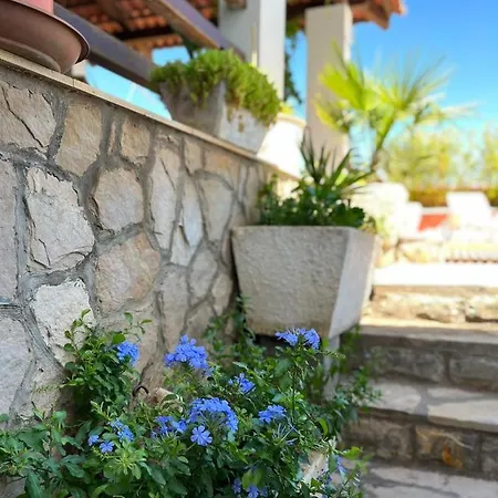 With Swimming Pool * Jelsa (Hvar)